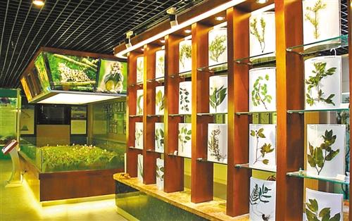 重庆建首个自然保护区陈列馆 成微缩版生物宝库