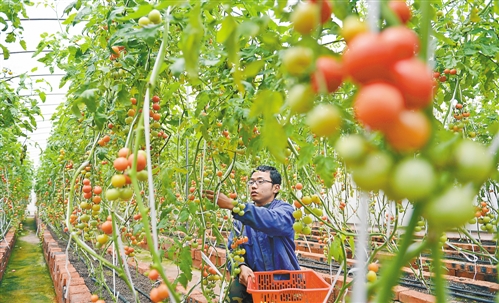 新常态下，寻求农业发展方式新转变