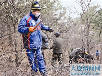 大连市实施冬季山林抚育工程