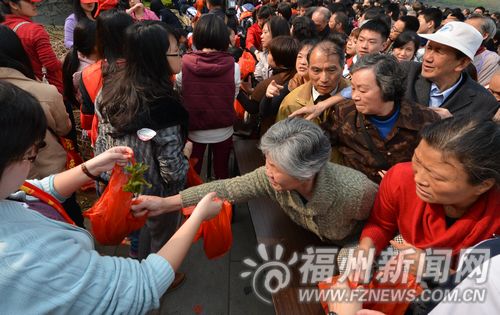 福州首次大规模免费赠花苗 市民2小时领走7万株