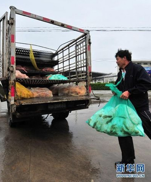 防控H7N9 福州海峡家禽批发市场紧急关闭