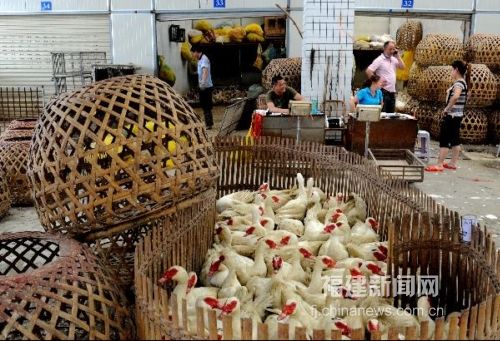 福州海峡家禽批发市场重新开门营业