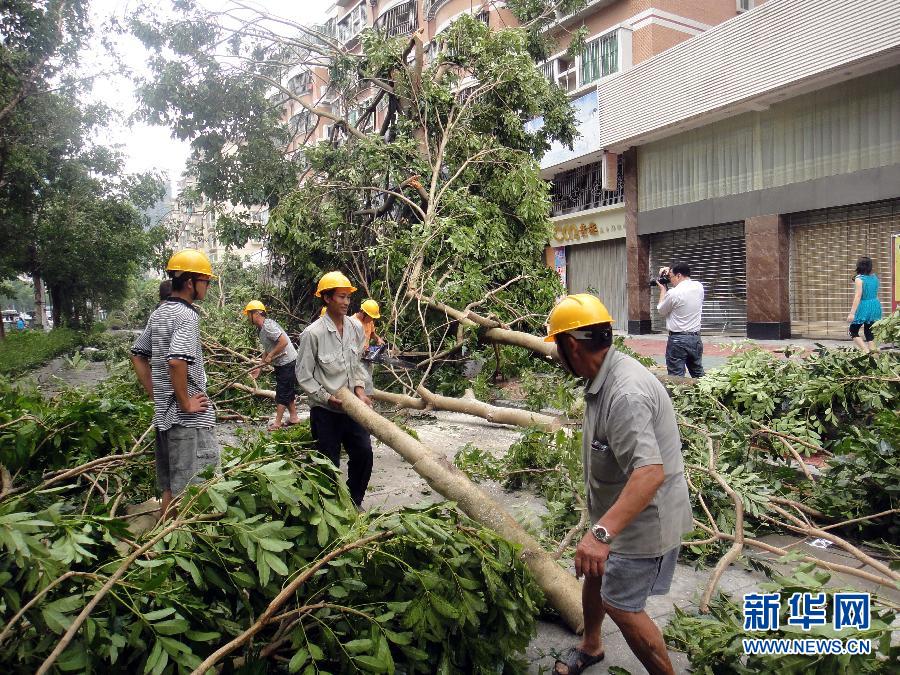 “天兔”影响减弱 广东开始灾后恢复重建