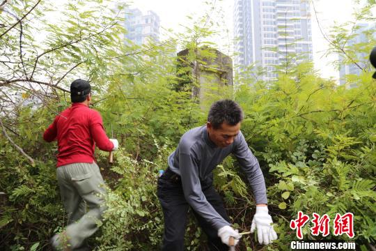 珠海三灶岛定家湾袭日抗战烈士长眠中山