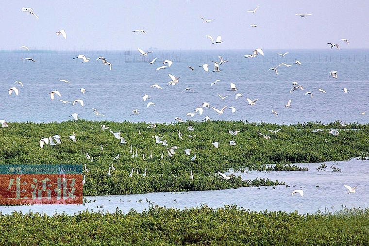 广西13个国家湿地公园 原始生态风光值得欣赏