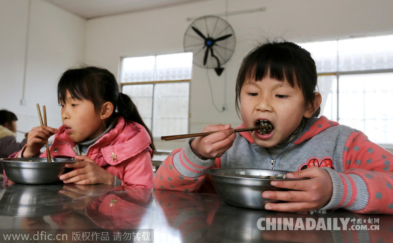 广西柳州市免费午餐受益学生超过18万人
