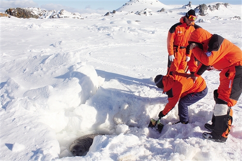 广西赴南极科考第一人 李静锋和他的“南极记忆”