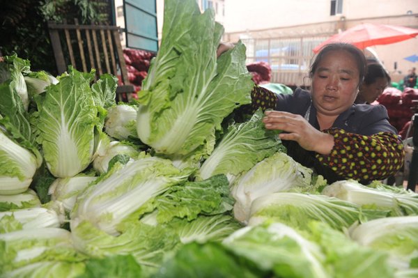 贵阳叶菜类蔬菜价格普遍下跌