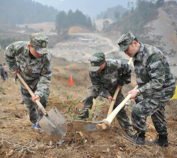 为大山添林增绿