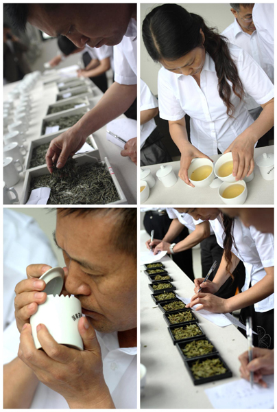 贵州省首届手工制茶大赛在贵定举行