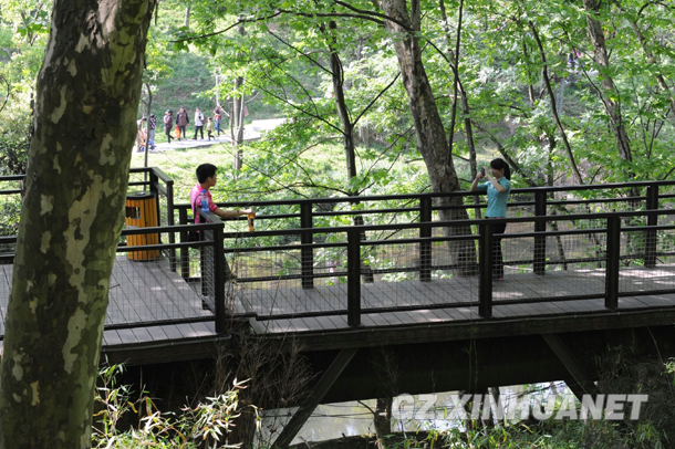 贵阳拿出“宝地”为市民建湿地公园