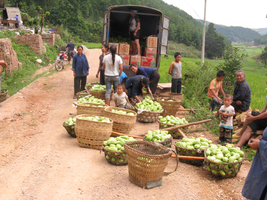 贵州乡村脱贫的关键在于产业支撑
