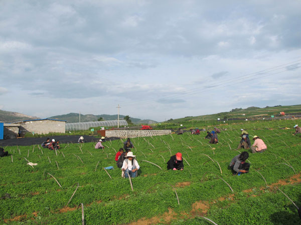 贵州迤那：一个小镇的生态脱贫实践