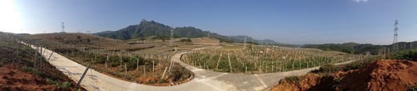 贵州施秉：水果产业托起“美丽乡村”