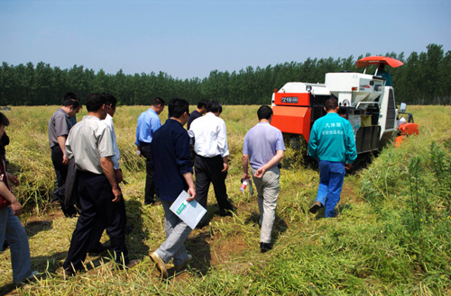 河南油菜生产机械化技术演示会在商城县召开