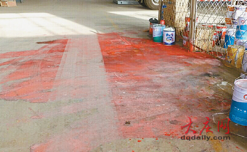 大庆市民目击一身红油漆“野猪”出没(图)