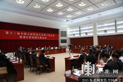 黑龙江省代表团举行第四次全体会议