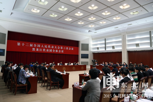 黑龙江省代表团举行第五次全体会议 审议修改《立法法》的决定草案
