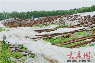 黑龙江肇源遭大风袭击风力超10级 损失超千万元