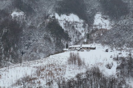 神农架降十年最大春雪