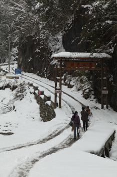 神农架降十年最大春雪