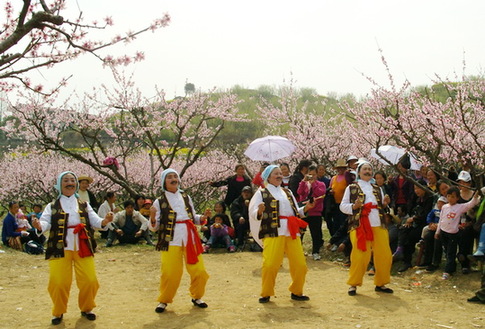 湖北蕲春举办首届桃花会（图）