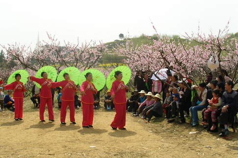 湖北蕲春举办首届桃花会（图）