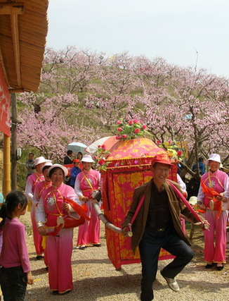 湖北蕲春举办首届桃花会（图）