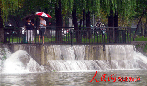 汉口西北湖：雨水入湖似瀑布