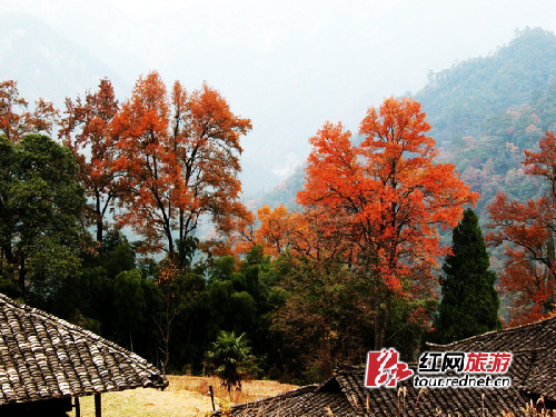 人迹罕至的人间天堂 湖南十大“勾魂”野景