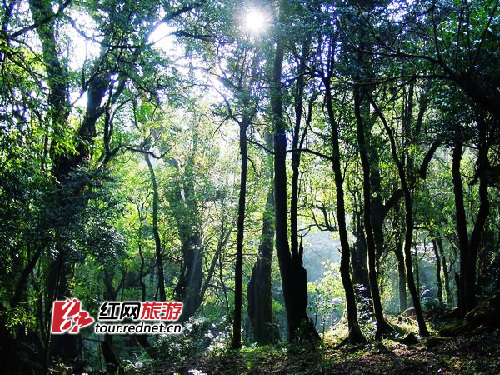 人迹罕至的人间天堂 湖南十大“勾魂”野景