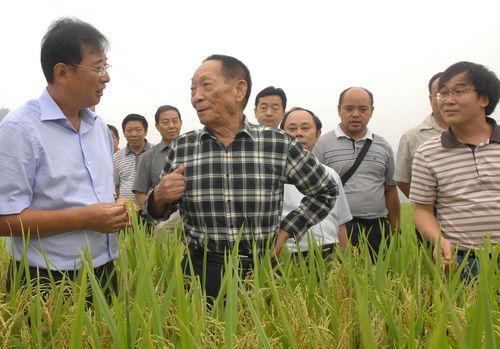 湖南有望2015年改造1500万亩中低产田