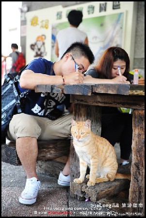 地理中国：台湾侯硐 猫咪控的必行之地