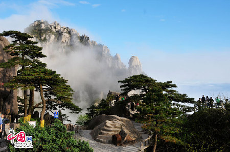 黄山峰峦苍翠欲滴 广玉兰初次绽放(图)