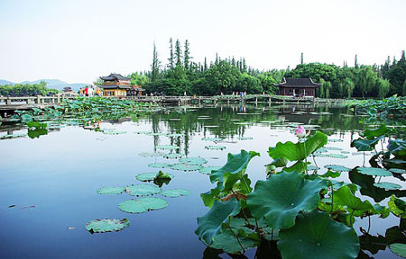 盛夏的天然空调 西湖周边纳凉五大隐秘处