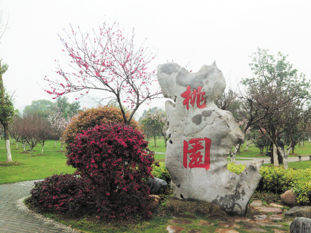 早春二月桃花朵朵开 惬意赏花岳麓两日游