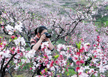 浏阳赏花品野菜线路