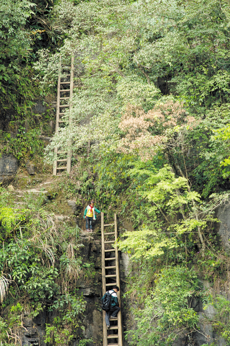 桑植县山村：悬崖天梯 兄妹上下求索