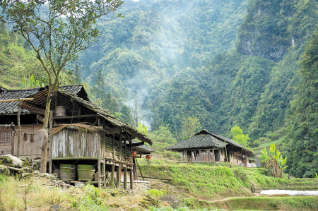 桑植县山村：悬崖天梯 兄妹上下求索