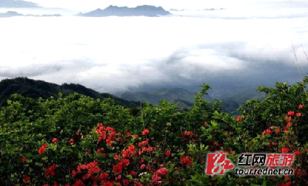 盛夏三湘寻清幽之地