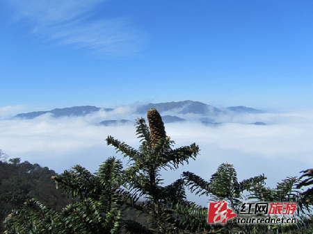 盛夏三湘寻清幽之地