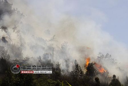 山火被扑灭10小时后死灰复燃 疑高温天气惹祸