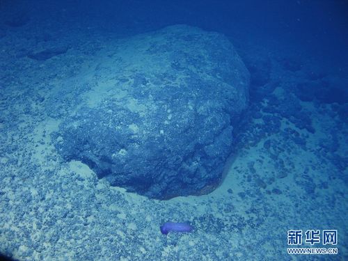 “蛟龙”号海底爬山带来好消息