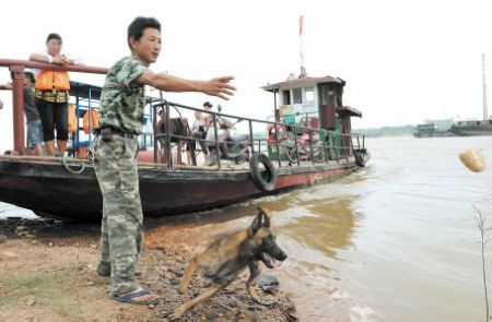 湘潭男子遇险爱狗下河相救 已在湘江救起数十人