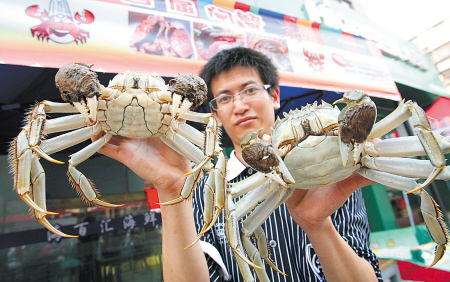 十月最佳吃蟹季 星城最实用吃蟹尝鲜地图