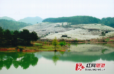 探秘古老的飞山文化 游靖州不得不看的美景