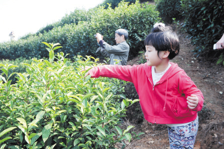 清明小长假带上孩子去踏青吧 长沙周边踏青图