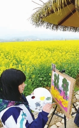 油菜花海“赶分社” 春分时节安仁县黄花香