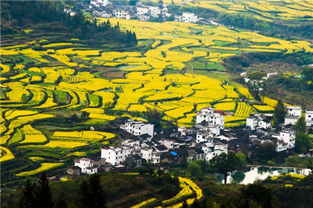 Explore China's World Heritage Site: Zhangjiajie