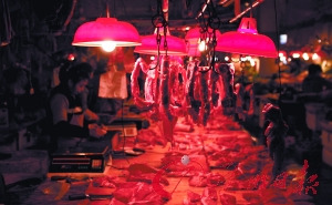 生猪价猛跌猪农抛售忙 业界预计将拉低10月CPI
